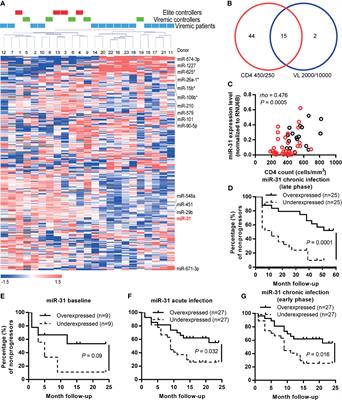 Hsa-miR-31 Governs T-Cell Homeostasis in HIV Protection via IFN-γ-Stat1-T-Bet Axis